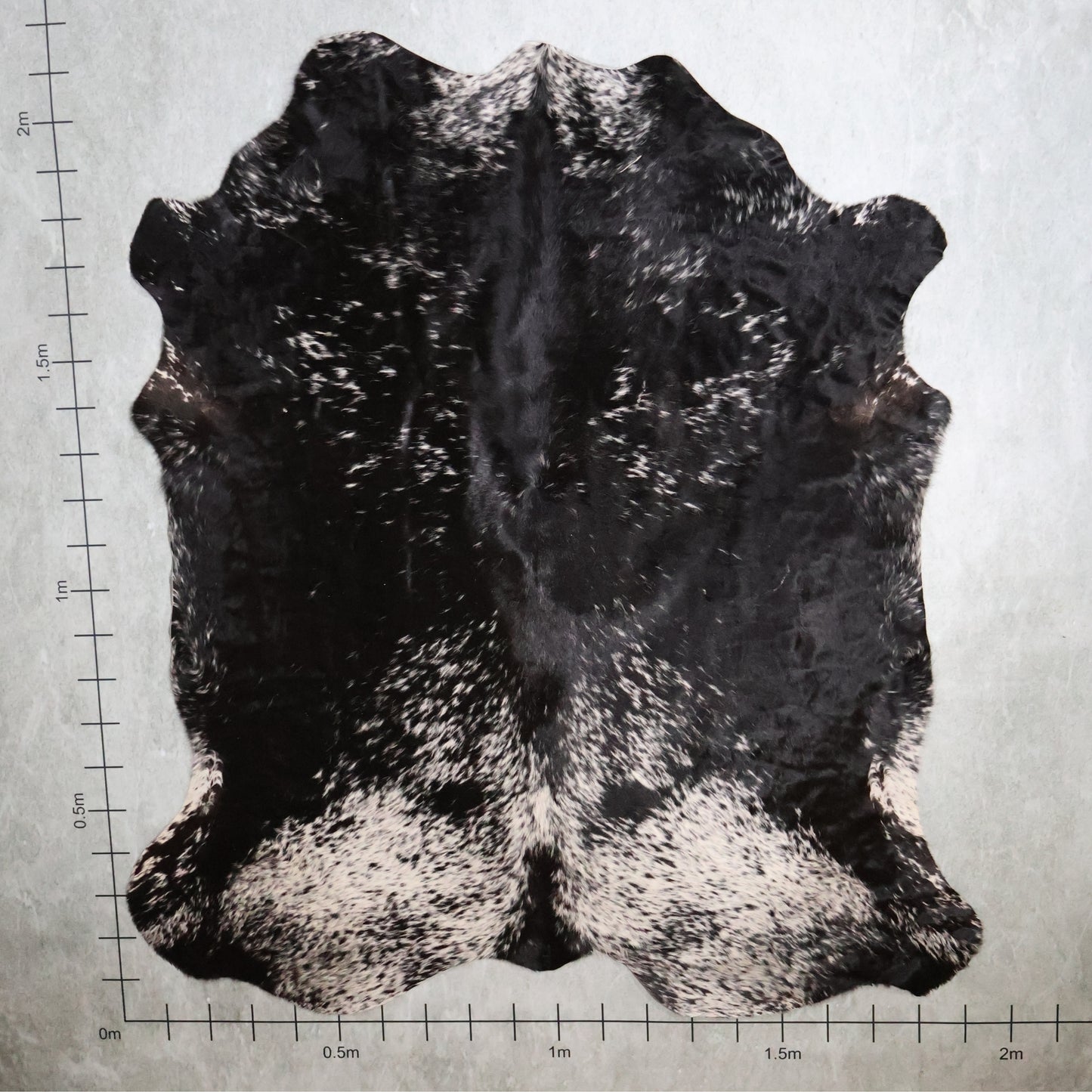 Premium Nguni Hide - Black & White | AAS8275 | 1.9m x 2.1m
