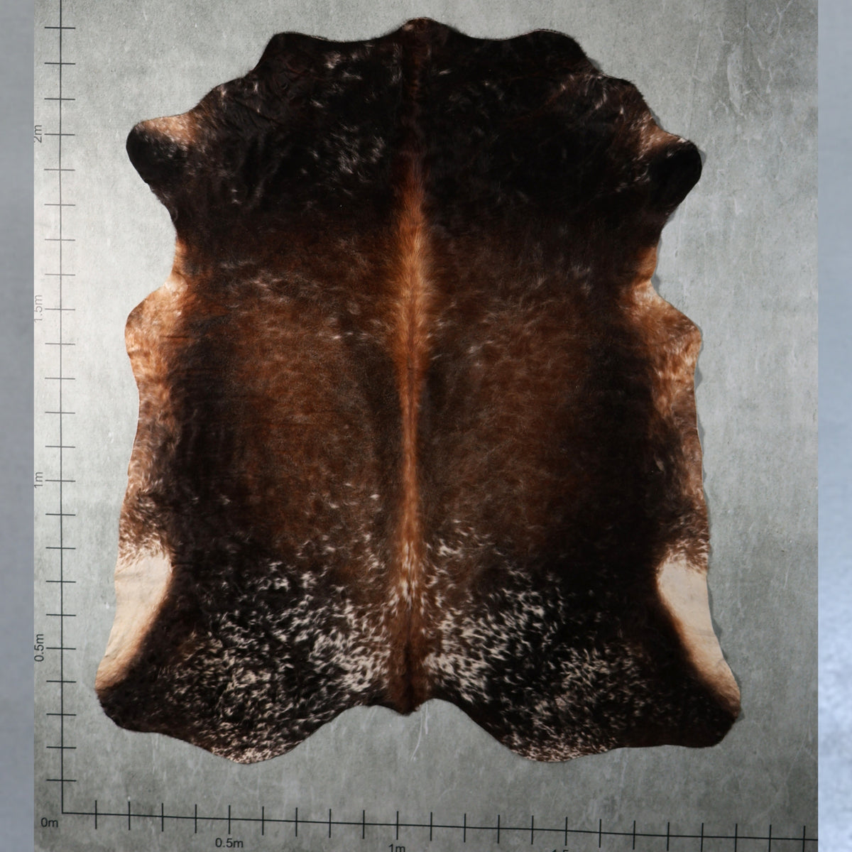 Premium Nguni Hide - Tri Colour Dark Brown, Caramel & White/Cream | AAS8279 | 2.0 x 2.3m