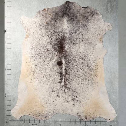 Premium Nguni Hide - Grey & White | AAS8280 | 2.1m x 2.3m
