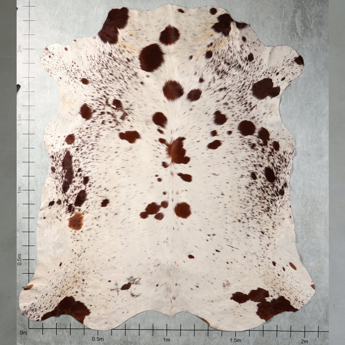 Premium Nguni Hide - Chestnut Brown & White | AAS8286 | 2.1m x 2.3m