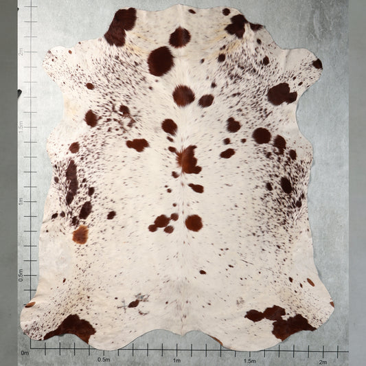 Premium Nguni Hide - Chestnut Brown & White | AAS8286 | 2.1m x 2.3m
