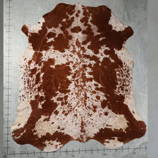 Premium Nguni Hide - Chestnut & White Speckled | AAS8295 | 2.2m x 2.4m