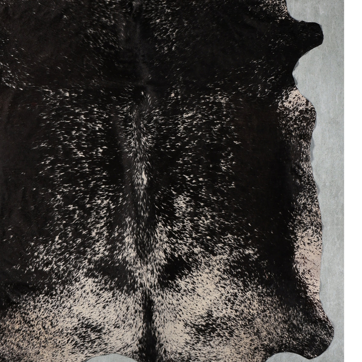 Premium Nguni Hide - Black & White Speckled | AAS8300 | 2.0m x 2.2m