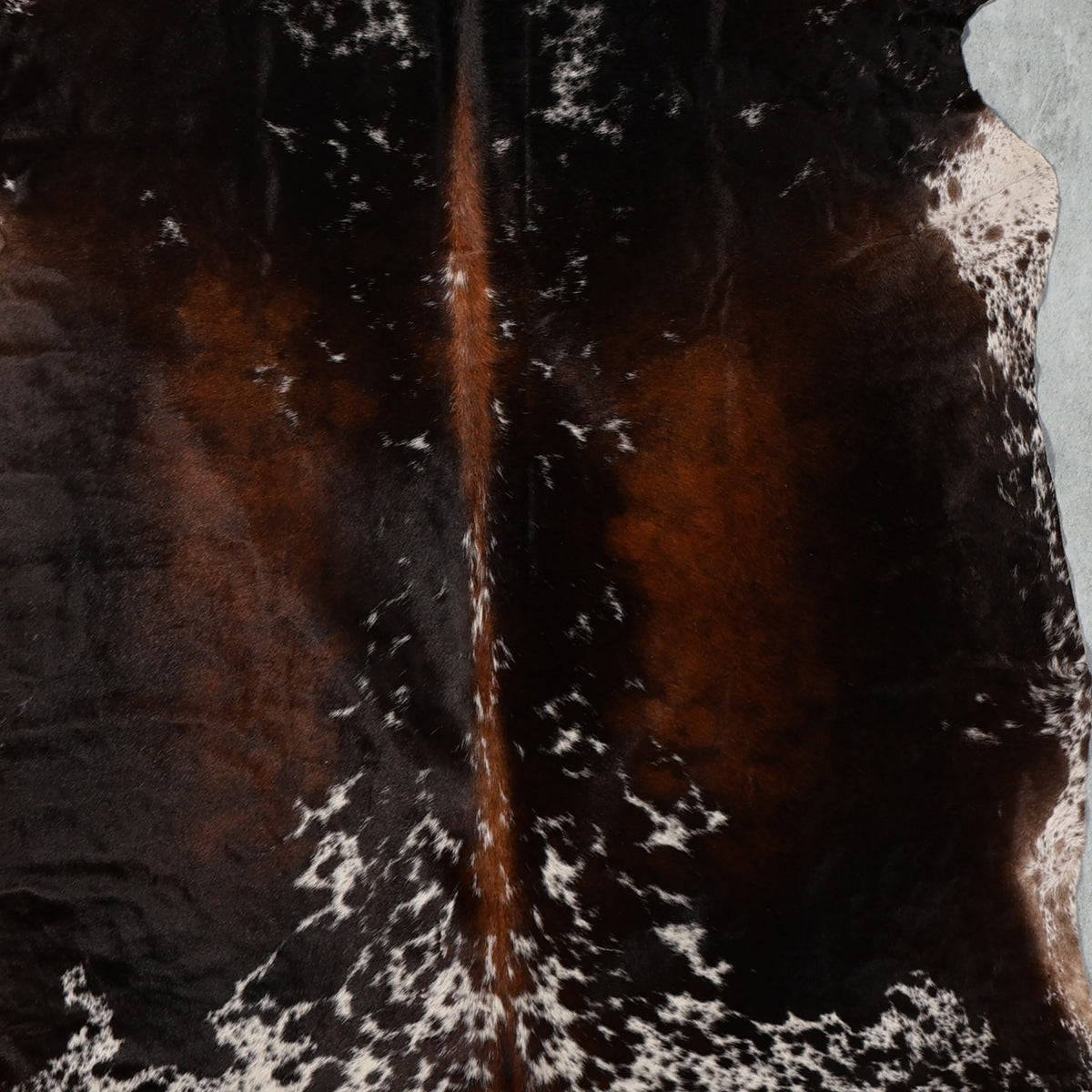 Premium Nguni Hide - Black & White Speckled | AAS8304 | 1.9m x 2.1m