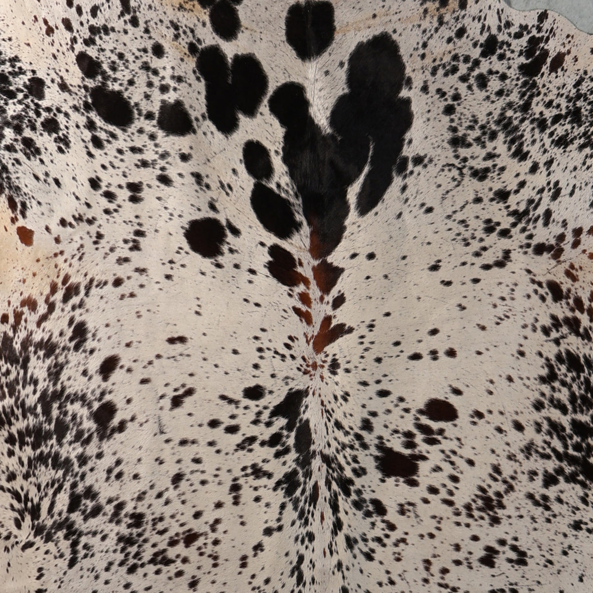 Premium Nguni Hide - White & Black Speckled | AAS8335 | 2.0m x 2.2m