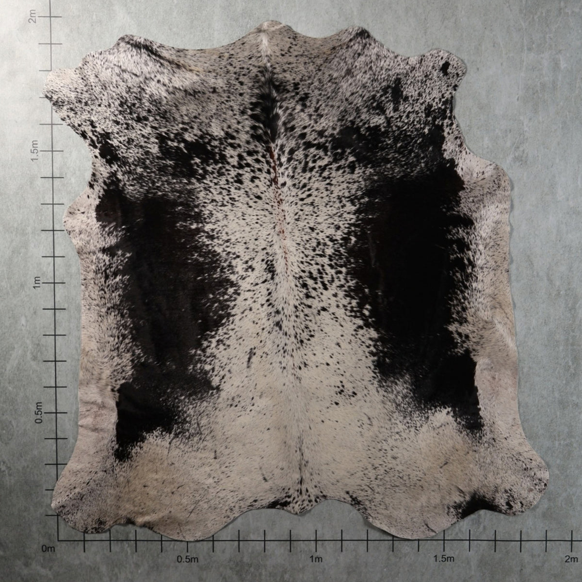 Genuine South African black-and-white speckled Nguni cowhide with large black side patches and finely spotted white centre – AAS8338.