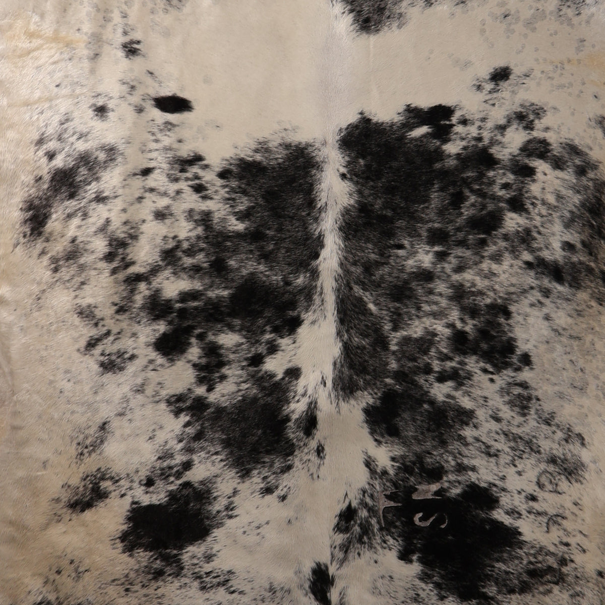 Premium Nguni Hide - Cream & Black Mottled | AAS8342 | 1.9m x 2.1m