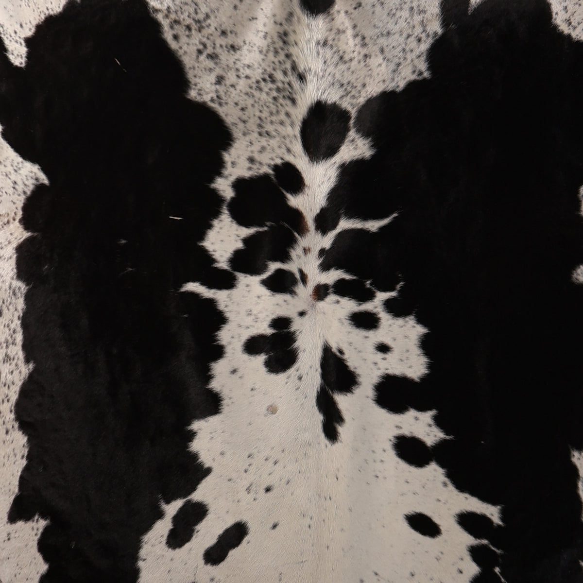 Premium Nguni Cowhide - Black & White Speckled | AAS8348 | 1.9m x 2.0m