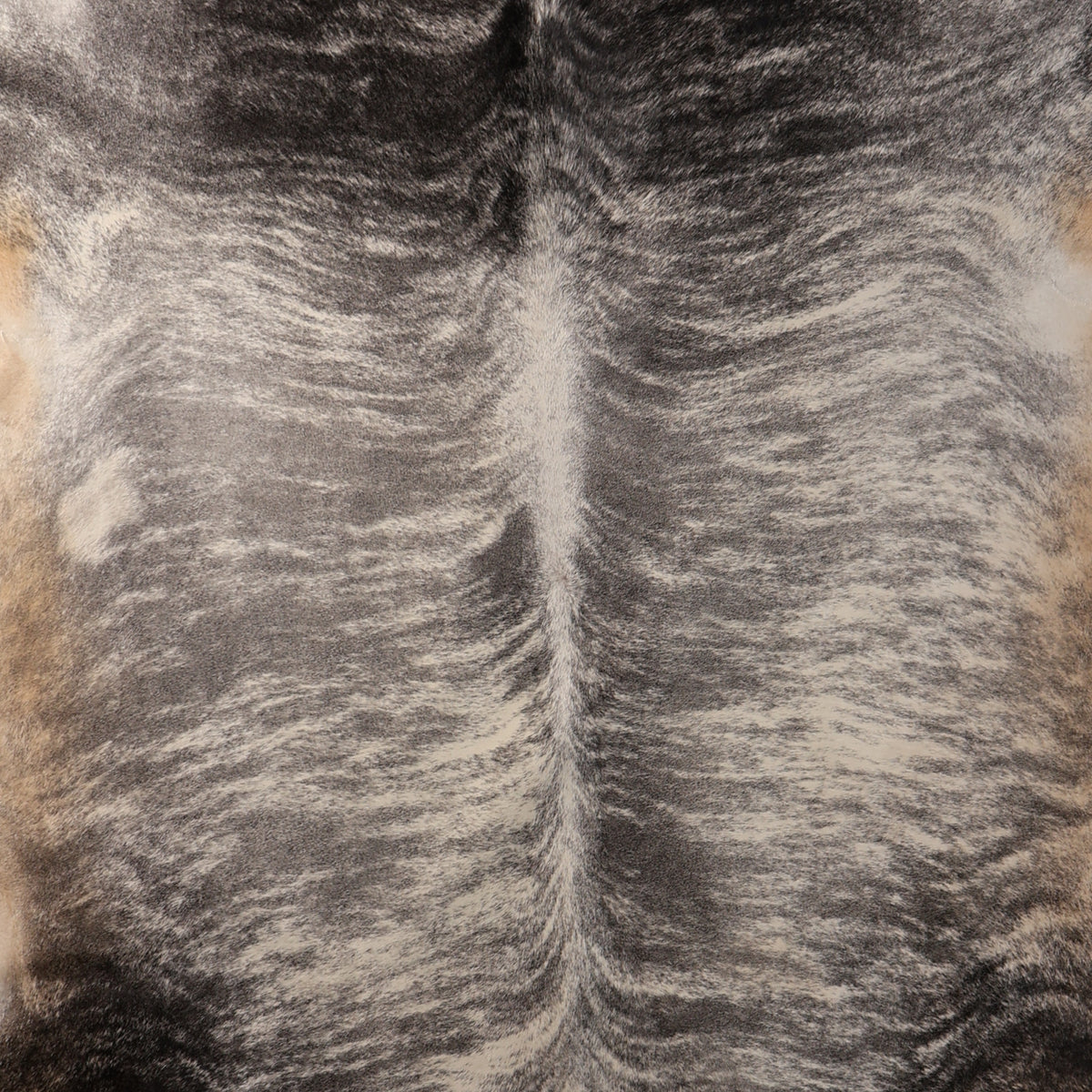 Premium Nguni Cowhide - Grey & Black Brindle | AAS8362 | 2.2m x 2.5m