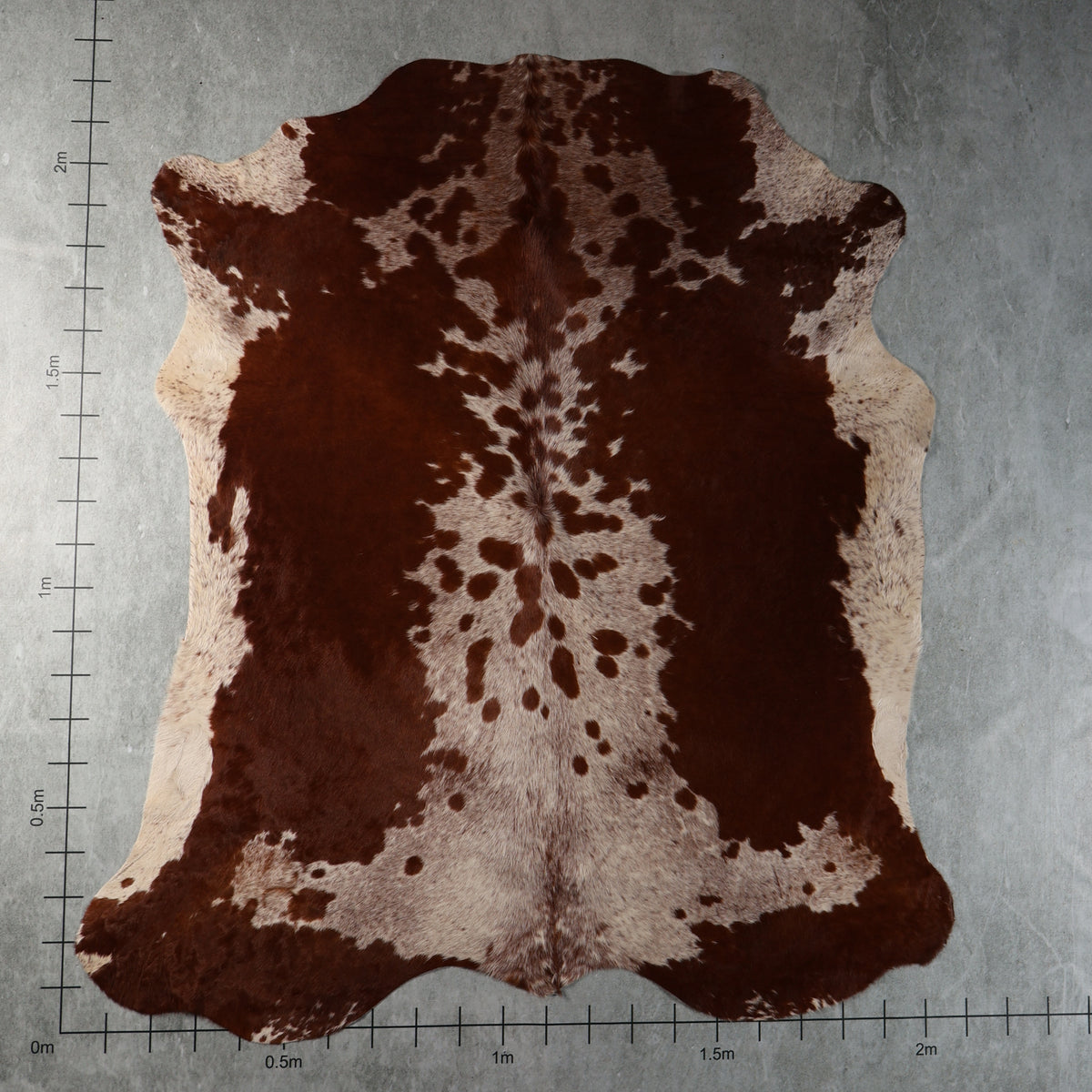 Premium Nguni Cowhide - Chestnut Brown & Cream Speckled | AAS8371 | 2.1m x 2.2m