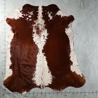 Premium Nguni Cowhide - Reddish Brown & White | AAS8375 | 2.0m x 2.2m