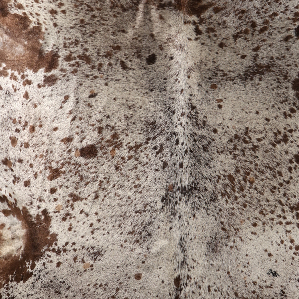 Premium Nguni Cowhide - Brown & Cream Speckled | AAS8380 | 2.5m x 2.7m