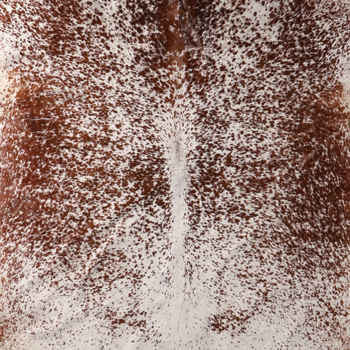 Premium Nguni Cowhide - Reddish Brown & White Fine Speckled | AAS8388 | 2.0m x 2.3m