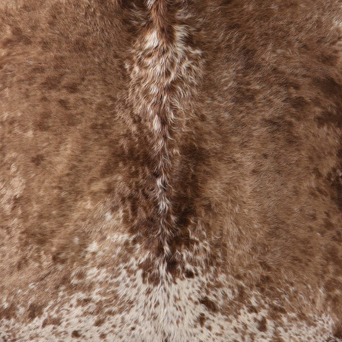 Premium Nguni Cowhide - Light Brown & Cream Mottled | AAS8396 | 1.8m x 2.2m