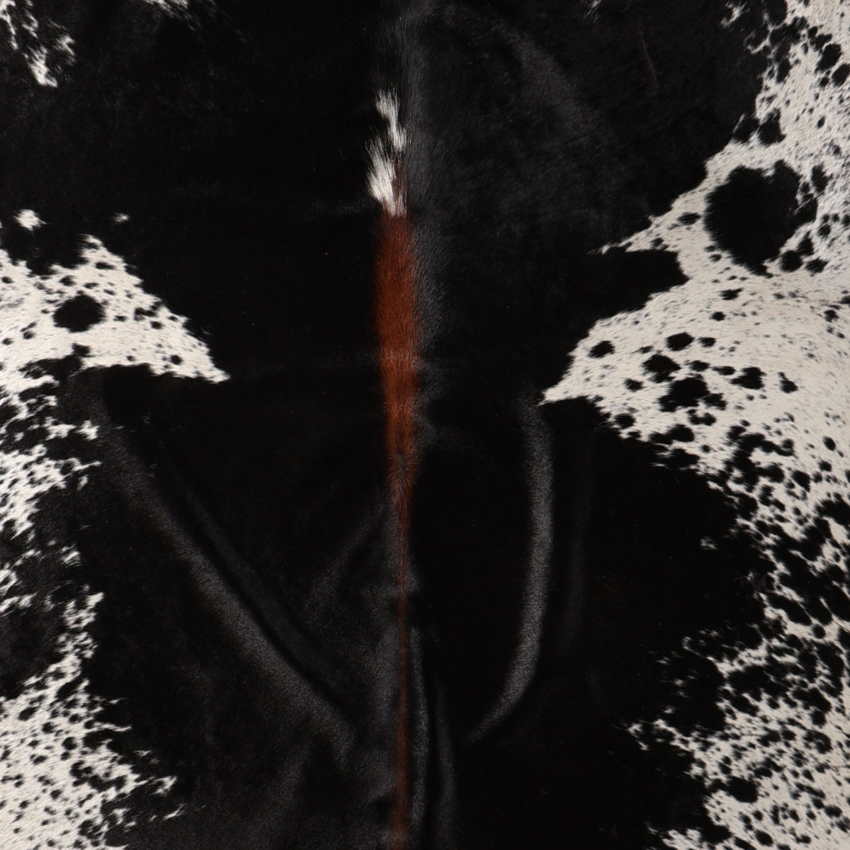Premium Nguni Cowhide - Tri Colour Black & White Speckled | AAS8397 | 2.1m x 2.2m