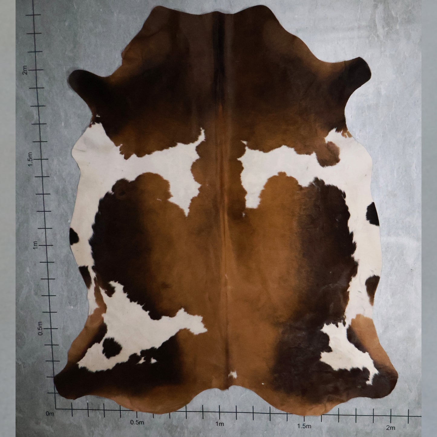 Select Nguni Hide #AGD6760