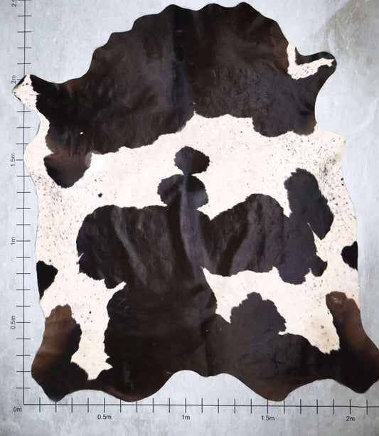 Select Nguni Hide #AGD6762