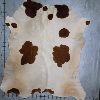 Select Nguni Hide #AGD6808