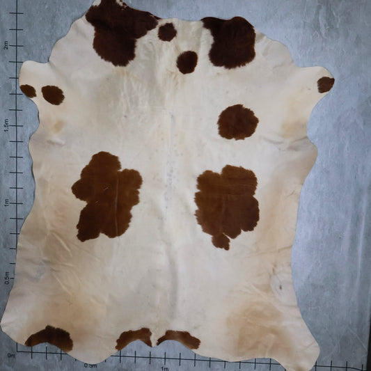 Select Nguni Hide #AGD6808