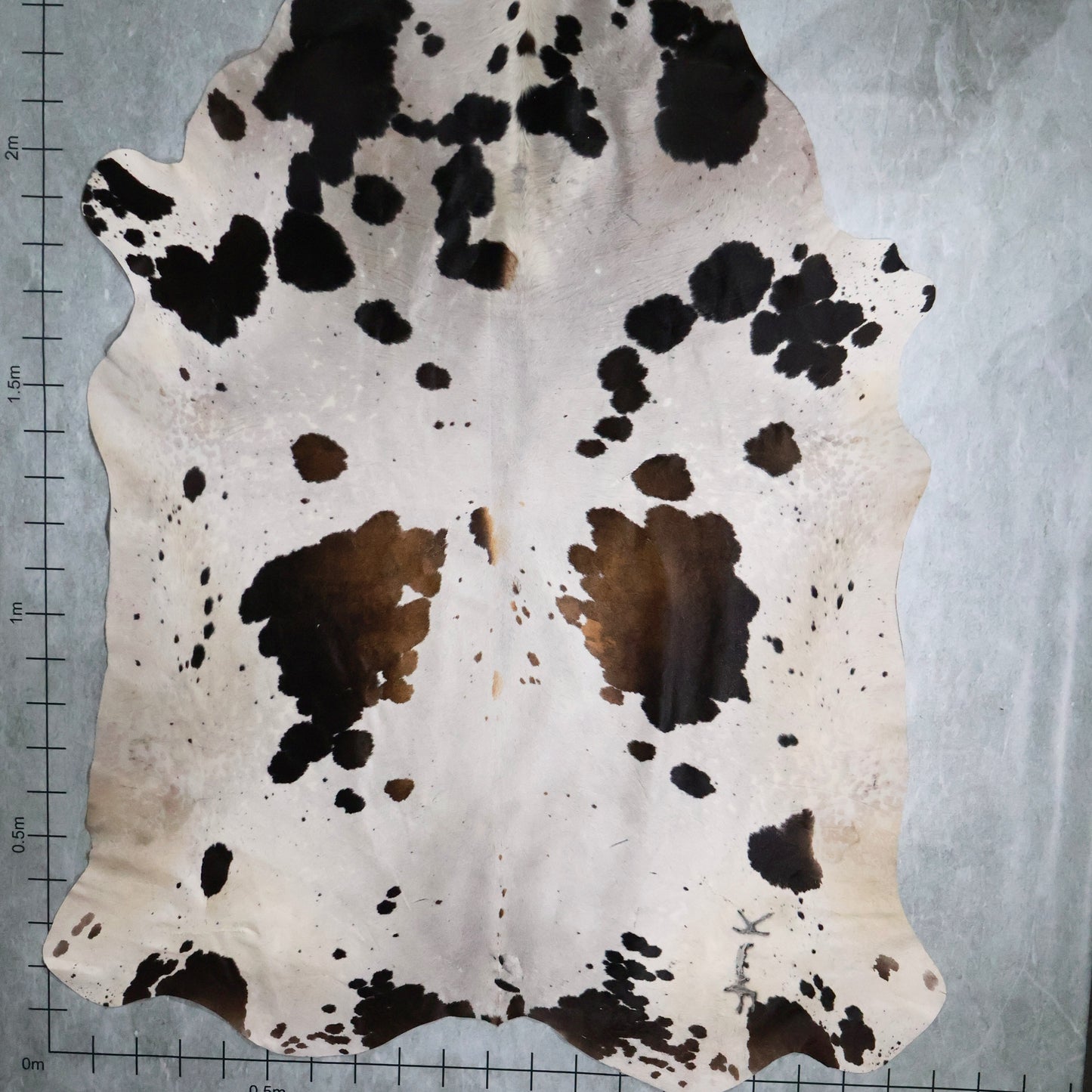 Select Nguni Hide #AGD6814