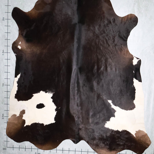 Select Nguni Hide #AGD6816
