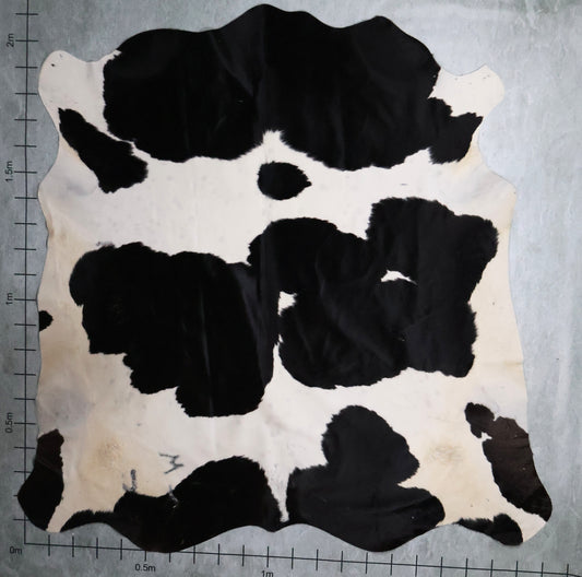 Select Nguni Hide #AGD6830