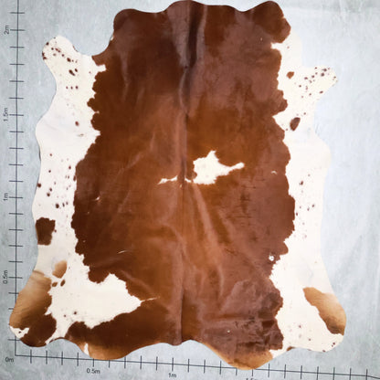 Select Nguni Hide #AGD6831