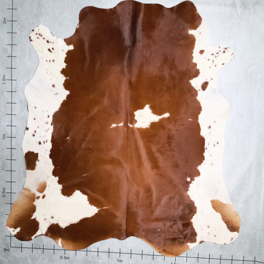 Select Nguni Hide #AGD6831