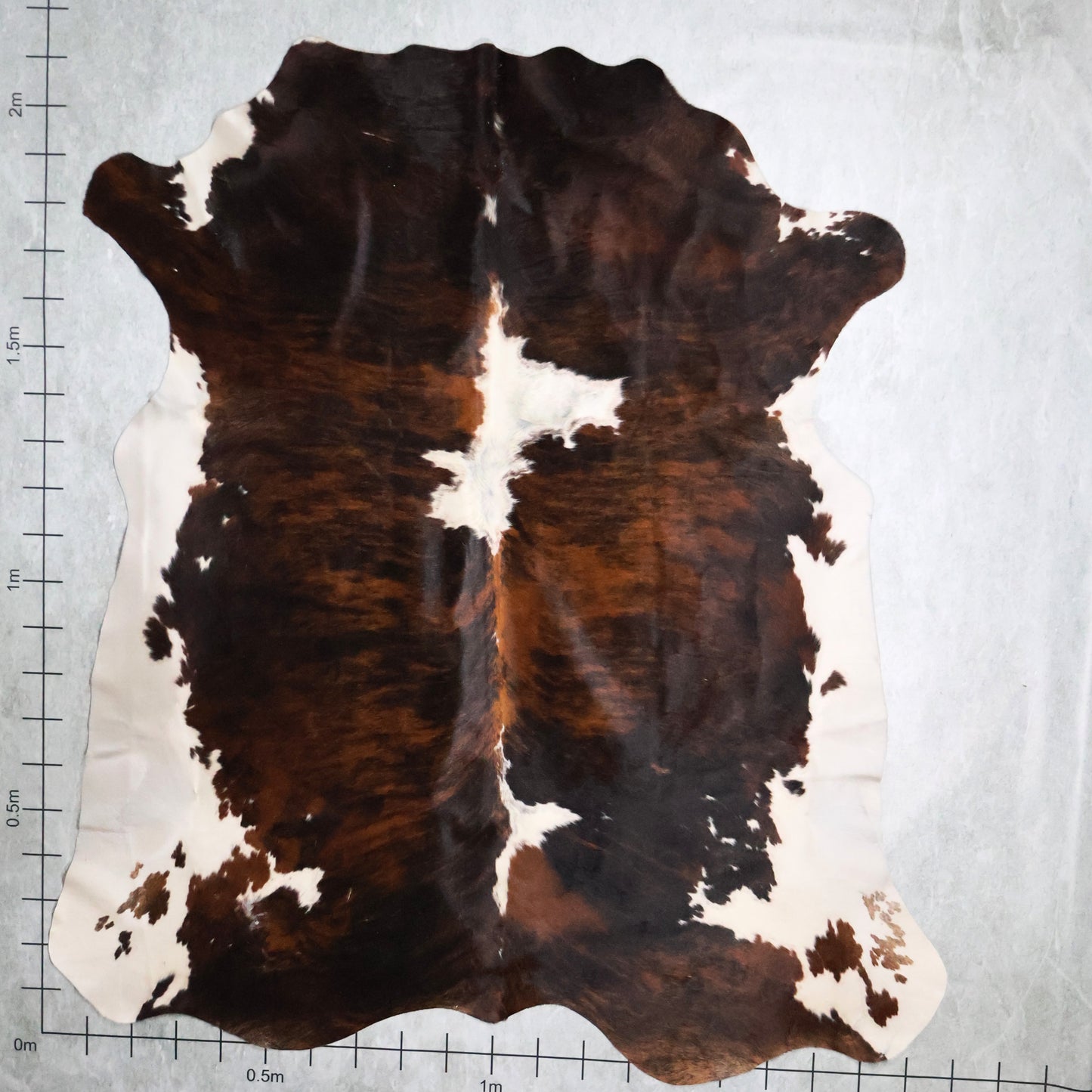 Select Nguni Hide #AGD6833