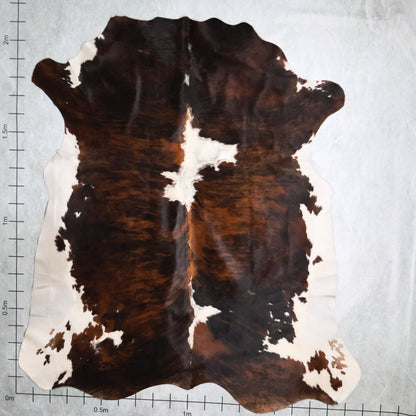 Select Nguni Hide #AGD6833