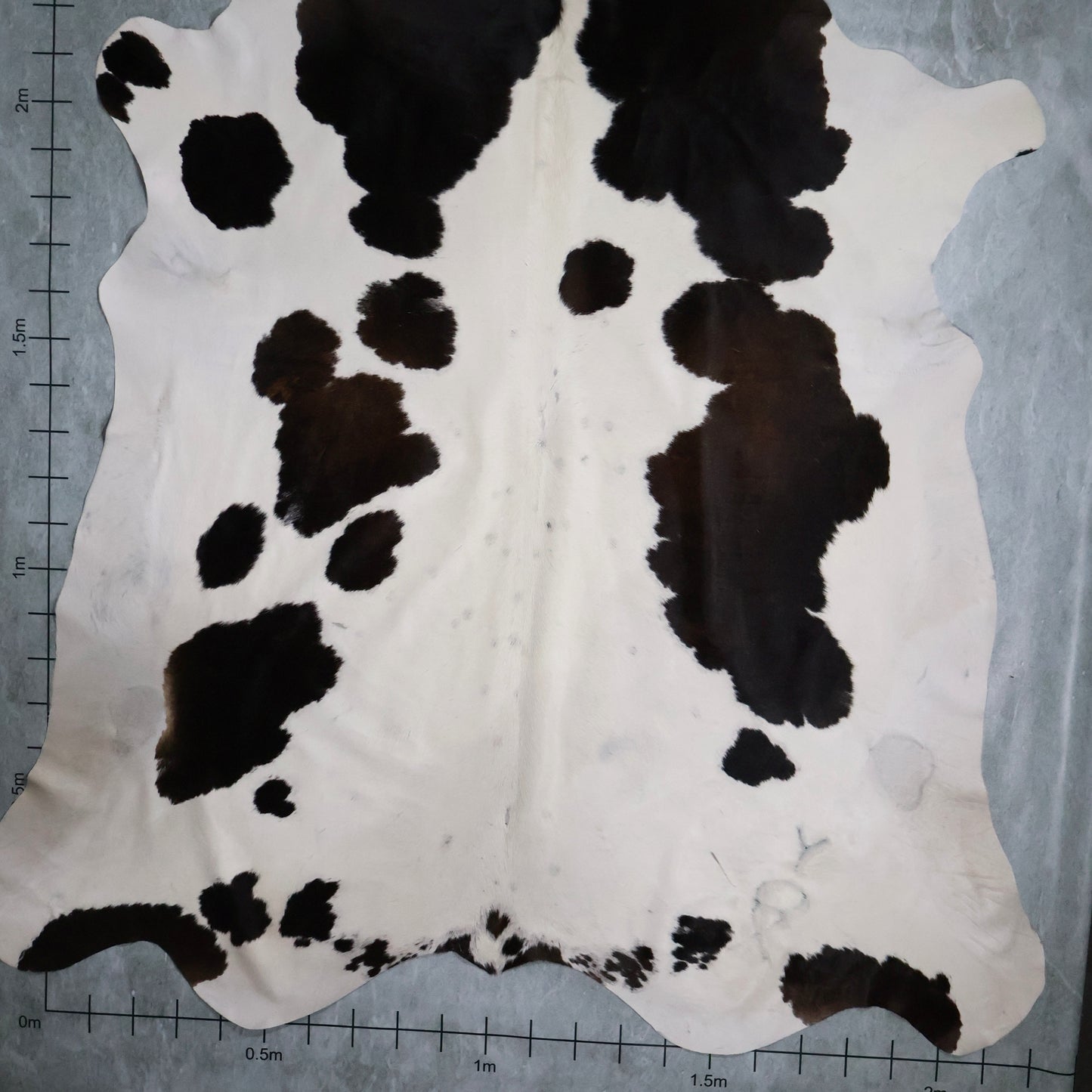 Select Nguni Hide #AGD6834