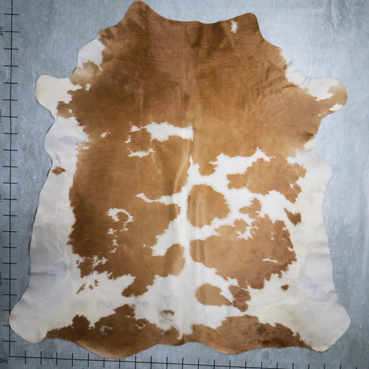 Select Nguni Hide #AGD6847