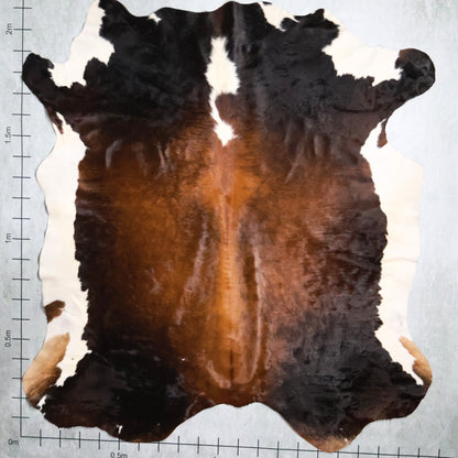 Select Nguni Hide #AGD6852