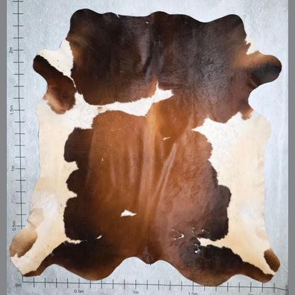 Select Nguni Hide #AGD6856
