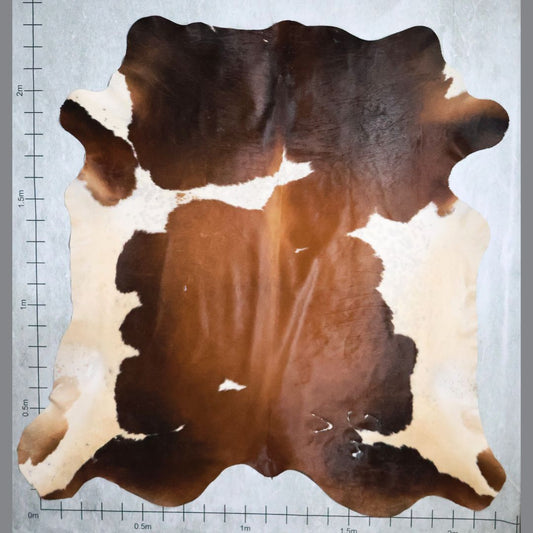 Select Nguni Hide #AGD6856