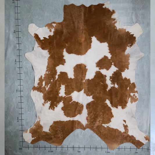 Select Nguni Hide #AGD6862