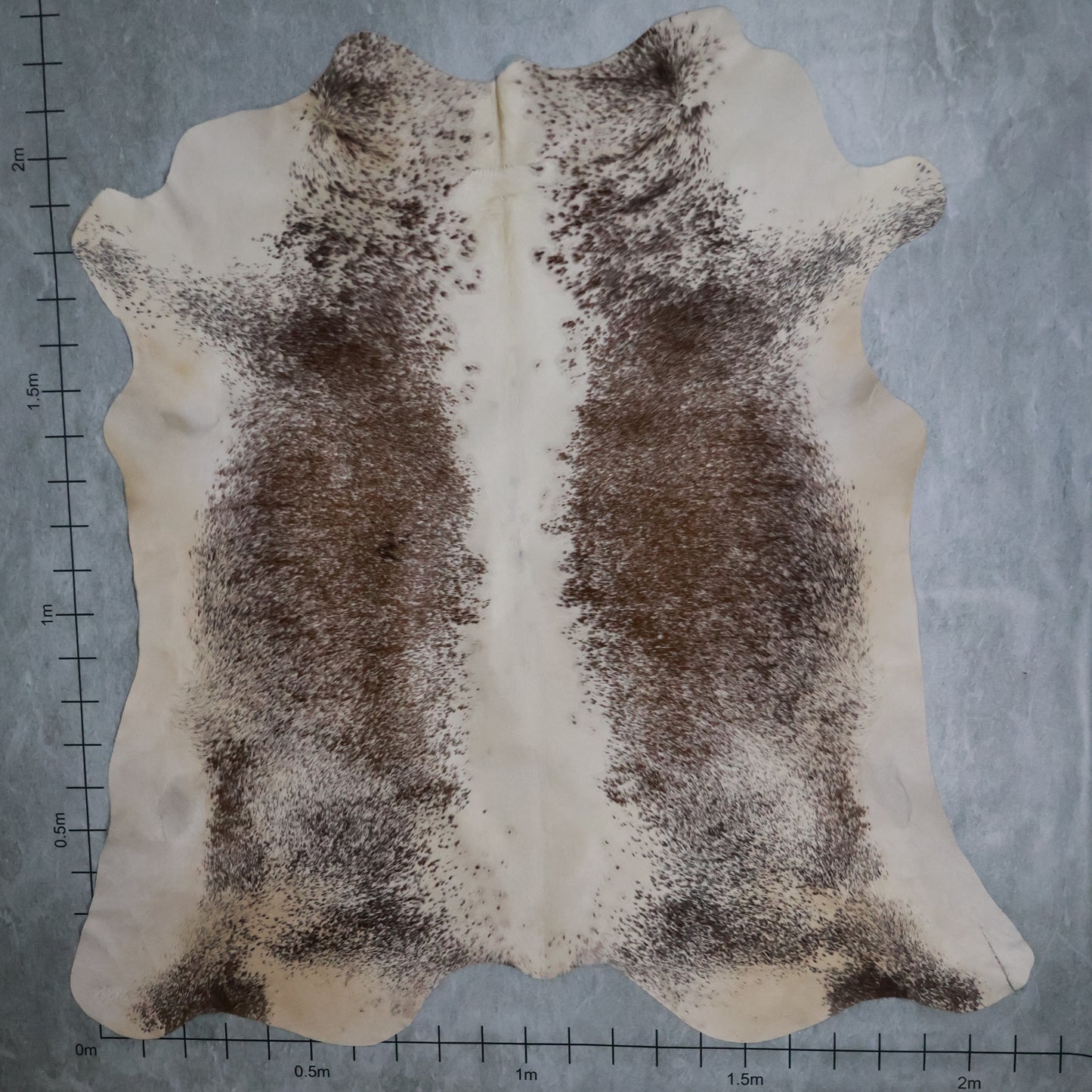 Select Nguni Hide #AGD6879