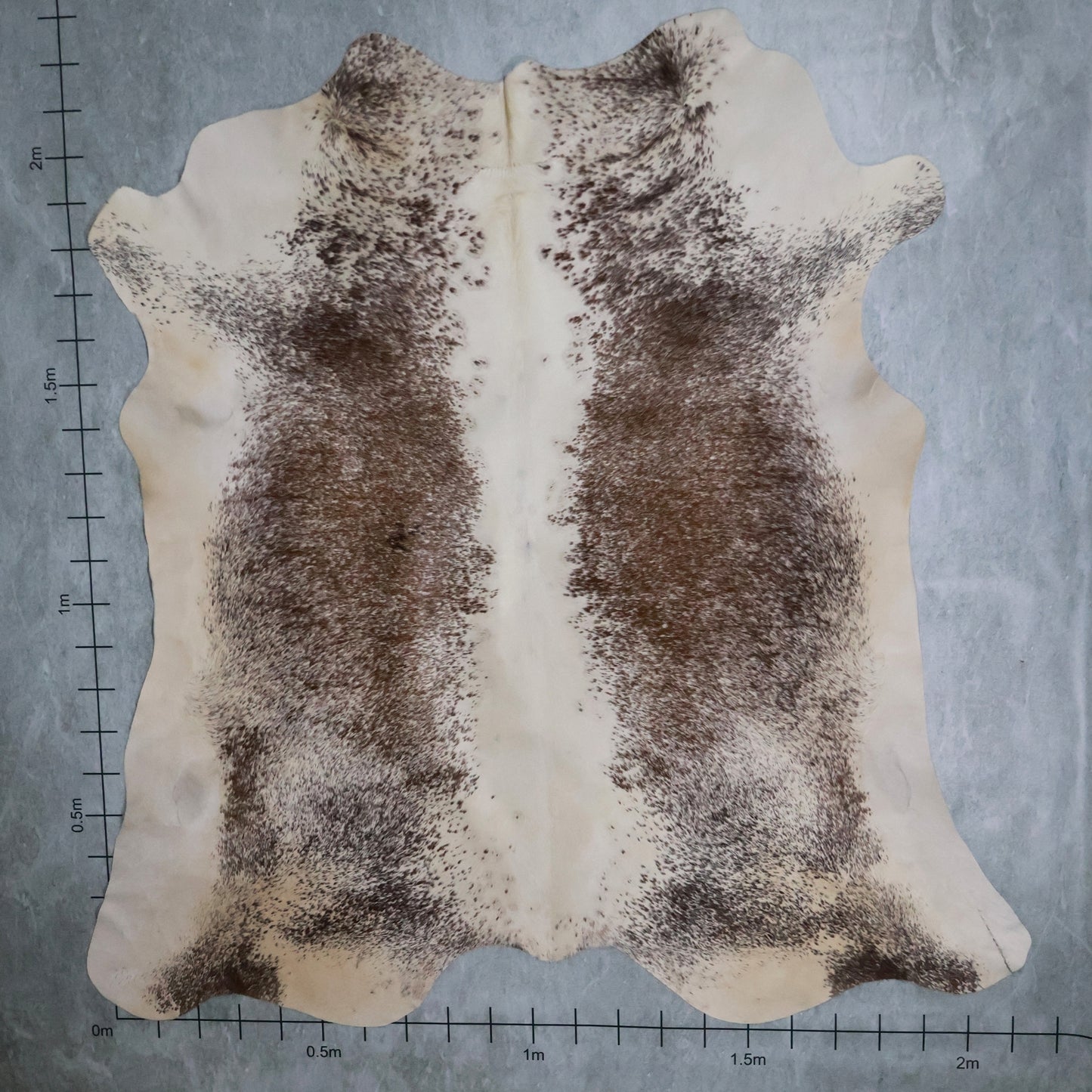 Select Nguni Hide #AGD6875