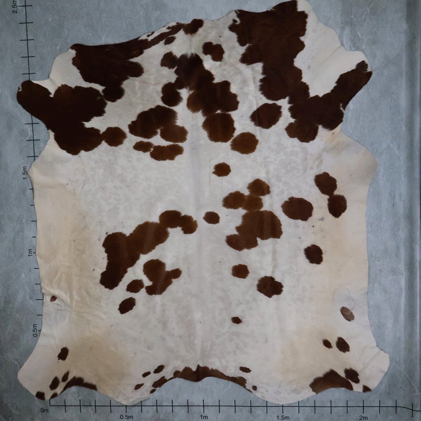 Select Nguni Hide #AGD6912