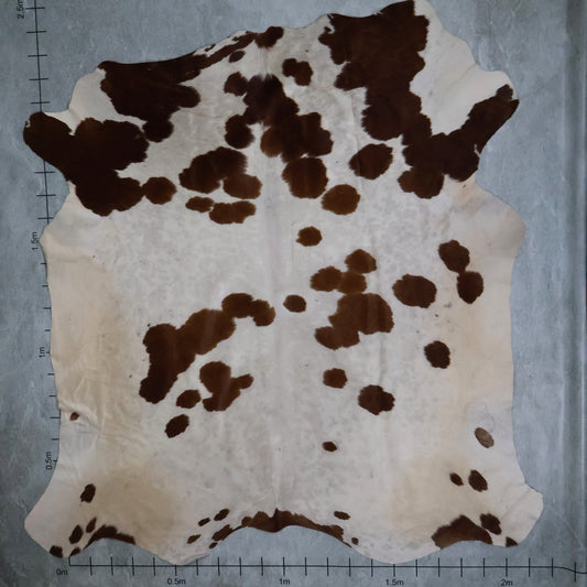 Select Nguni Hide #AGD6912