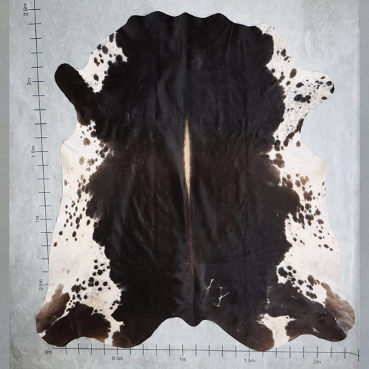 Select Nguni Hide #AGD6914