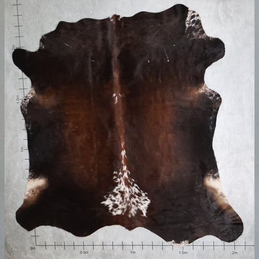 Select Nguni Hide #AGD6921