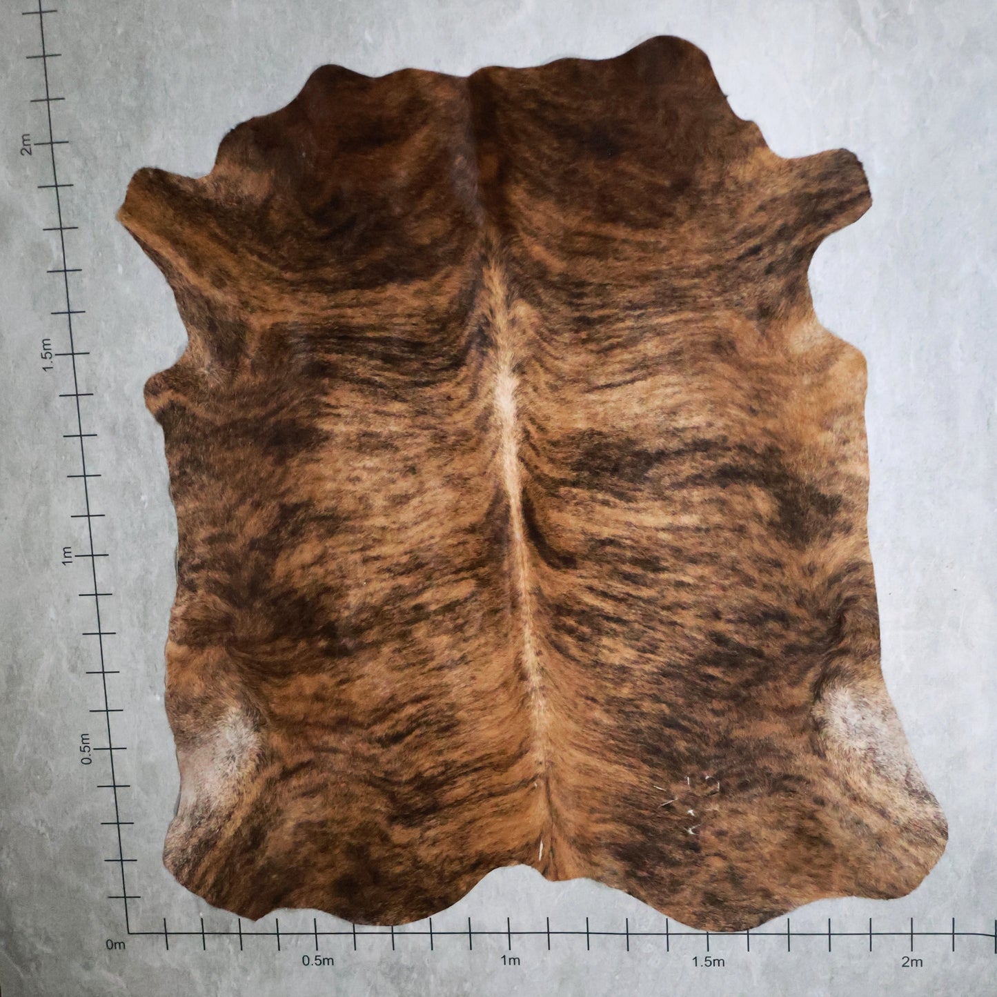 Select Nguni Hide Brindle #AGD6935 (2.1m X 2.1m)