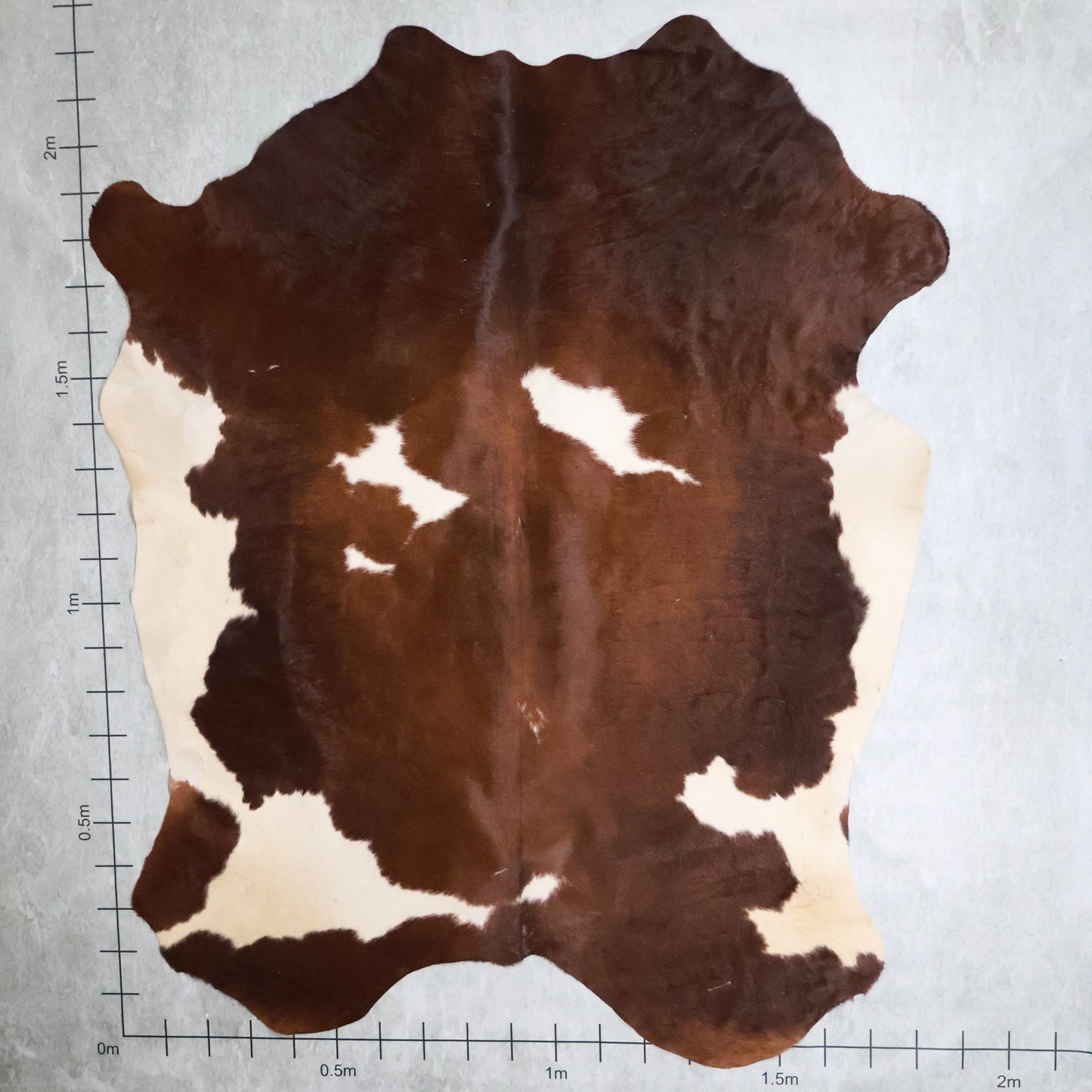 Select Nguni Hide #AGD6948