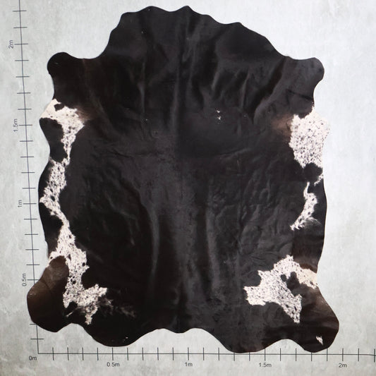 Select Nguni Hide #AGD6954