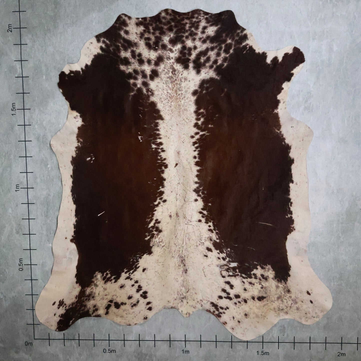 Select Nguni Hide #AGD6955