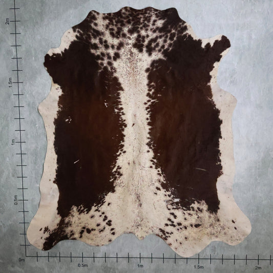 Select Nguni Hide #AGD6955