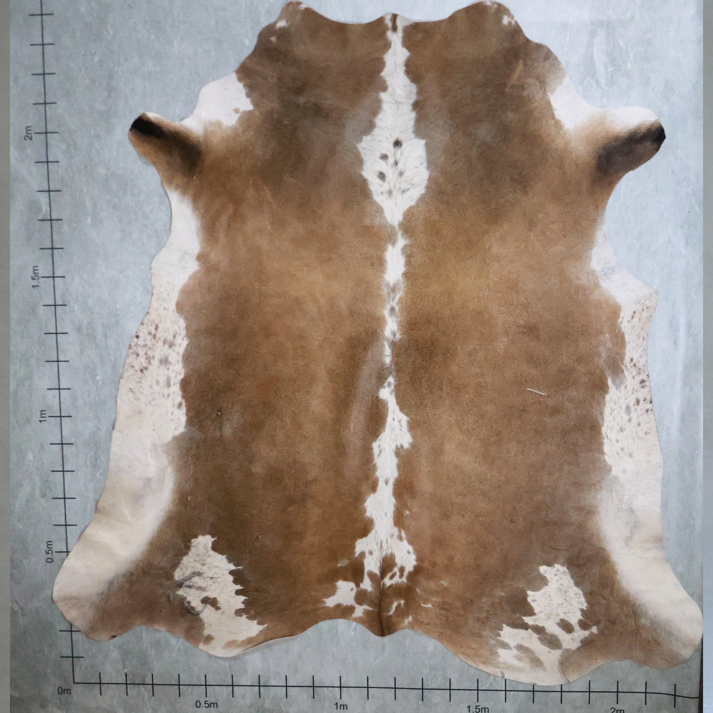 Select Nguni Hide #AGD6986 (2.3m X 2.4m)