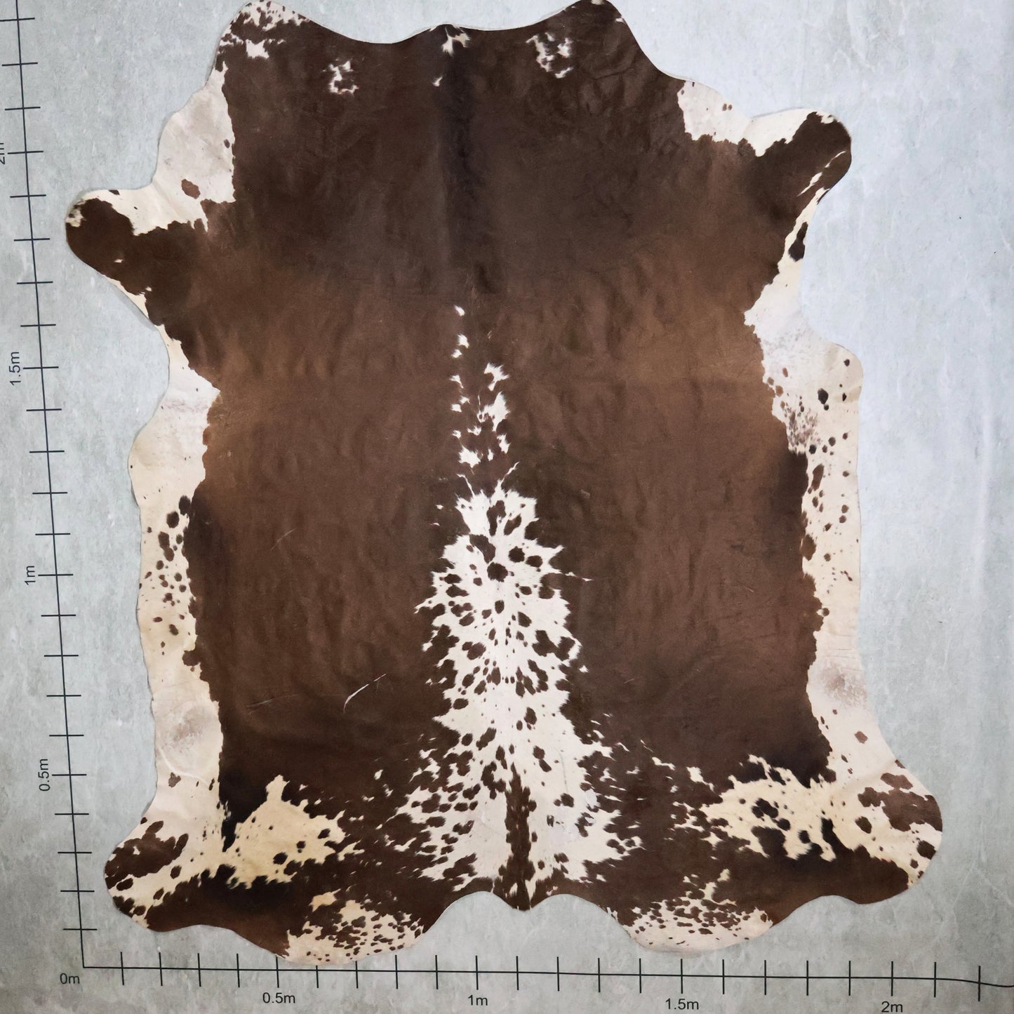 Select Nguni Hide #AGD6995 (2.1m X 2.2m)