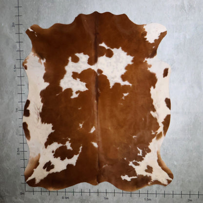 Select Nguni Hide #AGD7007 (1.8m X 2.2m)